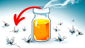 5 Tips Agar Terhindar dari Gigitan Nyamuk